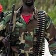 Suspected rebels in eastern Congo kill 16 in raid on village