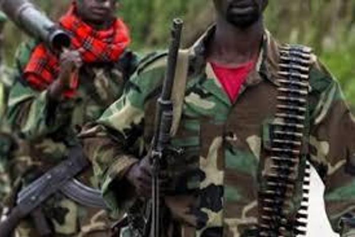 Suspected rebels in eastern Congo kill 16 in raid on village