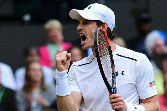 ___5227964___https:______static.pulse.com.gh___webservice___escenic___binary___5227964___2016___7___5___17___andymurray-cropped_xlu6j3qo29dl11tko5ciu19aq_1