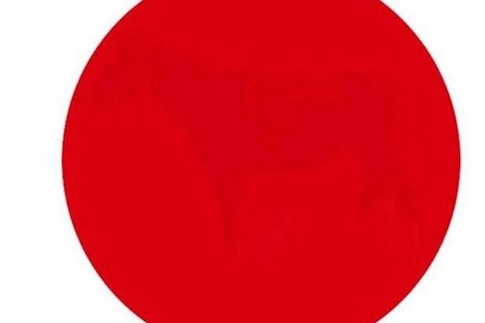 Can you see anything inside this photo?