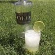 ___4948585___https:______static.pulse.com.gh___webservice___escenic___binary___4948585___2016___4___22___11___caipirinha+cocktail