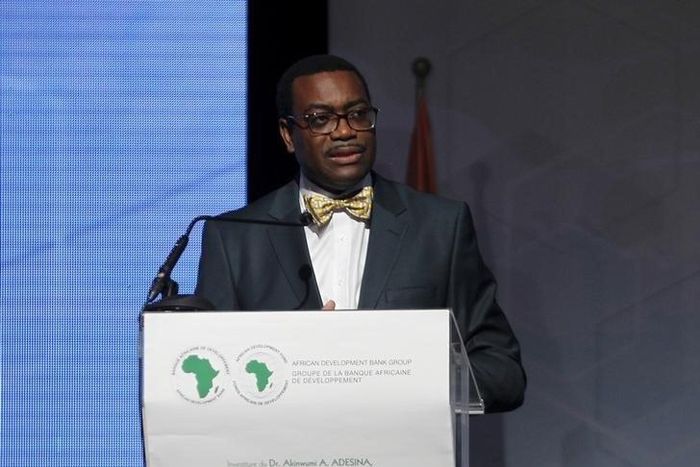 The  president of the African Development Bank (AfDB) Akinwumi Adesina of Nigeria speaks during his investiture ceremony in Abidjan September 1, 2015.   REUTERS/Luc Gnago