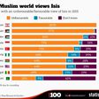 How the muslim world view Isis