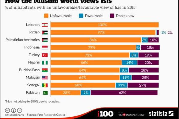 How the muslim world view Isis