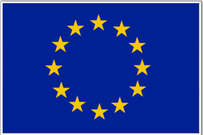 European union flag