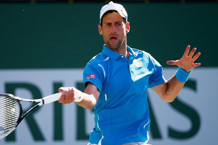 ___4823234___https:______static.pulse.com.gh___webservice___escenic___binary___4823234___2016___3___19___10___novakdjokovic-cropped_1qmzdn5cbbbfj12wki8q71kqsd