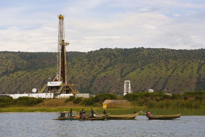 Uganda picks Nigerian, Australian firms for oil licensing round