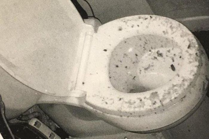 Woman sues after toilet exploded in her face