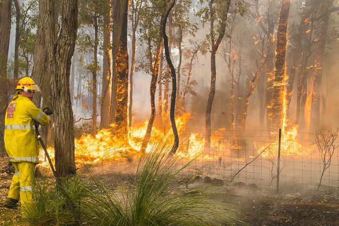 Wildfire chases 20,000 people from homes near Los Angeles
