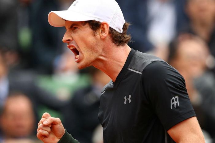 ___5071761___https:______static.pulse.com.gh___webservice___escenic___binary___5071761___2016___5___25___0___andymurray-cropped_16dzwssmm3oce1tva093bur99h