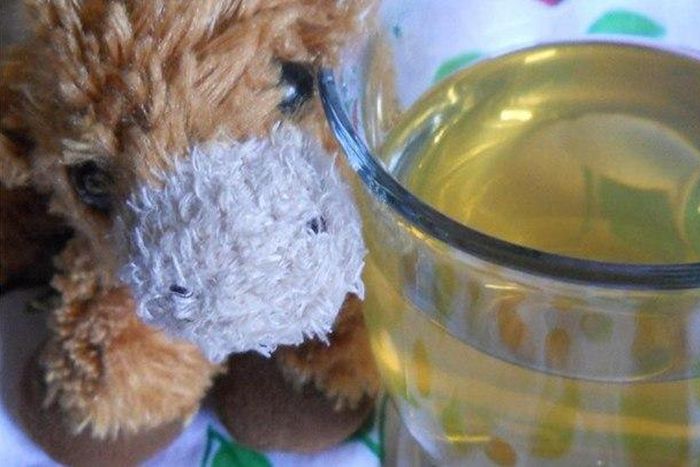 ___4862655___https:______static.pulse.com.gh___webservice___escenic___binary___4862655___2016___3___30___17___teddy+bear+juice