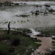 Flash floods displace nearly 120,000 in Ethiopia: aid agencies