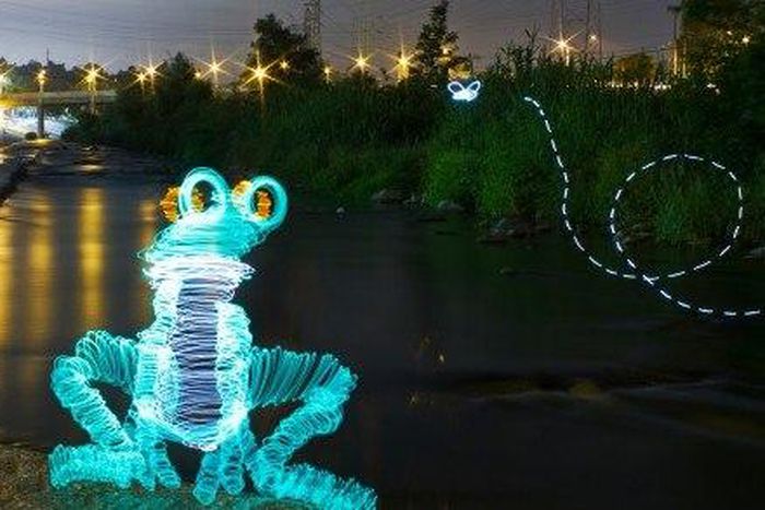 Neon frog