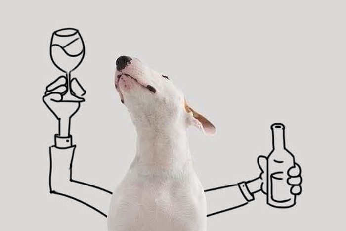 Rafael Mantesso's art using Jimmy Choo