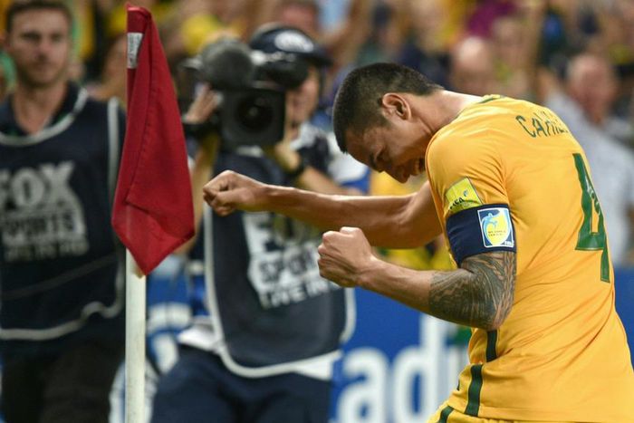 ___4857373___https:______static.pulse.com.gh___webservice___escenic___binary___4857373___2016___3___29___18___timcahill-cropped_1ee8gnu5u98mf1h9qmaybmccf0_1