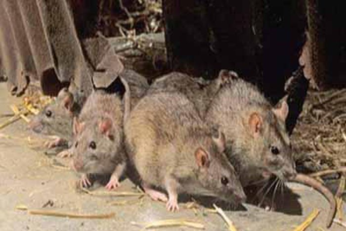 Ministry embarks on sensitisation programme