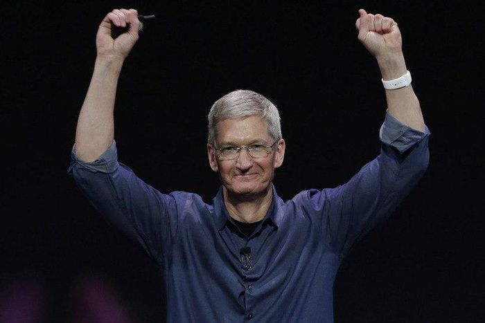 Apple CEO Tim Cook introduces Apple Watch on Sept. 9, 2014, in Cupertino, California.