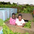 Princess Chea with Joshua Williams at the graveyard they call home