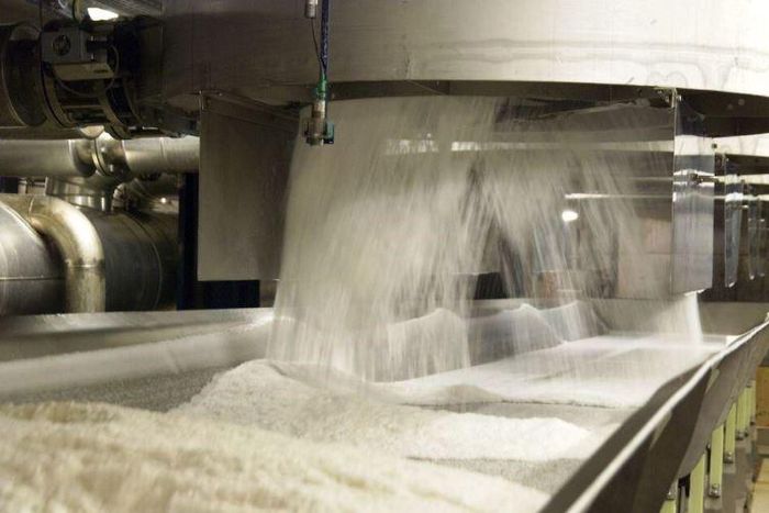 Jigawa farmers say establishment of sugar factories will enhance development