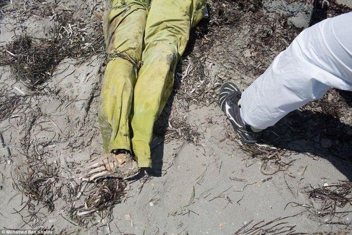 14 bodies found in Libya's Benghazi, presumed executed- govt. official