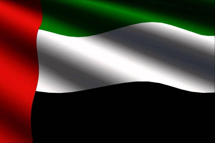  United Arab Emirates flag