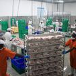 Employees move a trolley filled with chicken to a cold room inside Yo Kuku chicken abattoir in Semuto district, north of Ugandan capital Kampala, April 16, 2015.