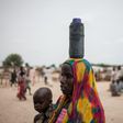 UNICEF estimates that 244,000 children will suffer from severe acute malnutrition this year in Nigeria's Borno state alone
