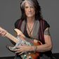 Joe Perry