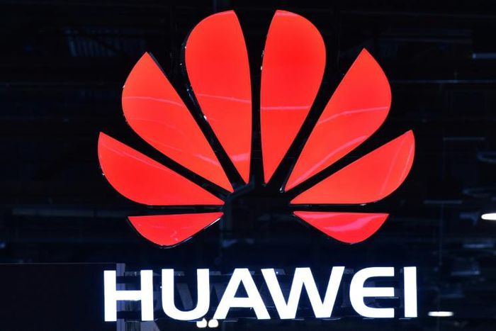 Huawei's Chief Financial Officer Meng Wanzhou was arrested in Canada and faces extradition to the United States