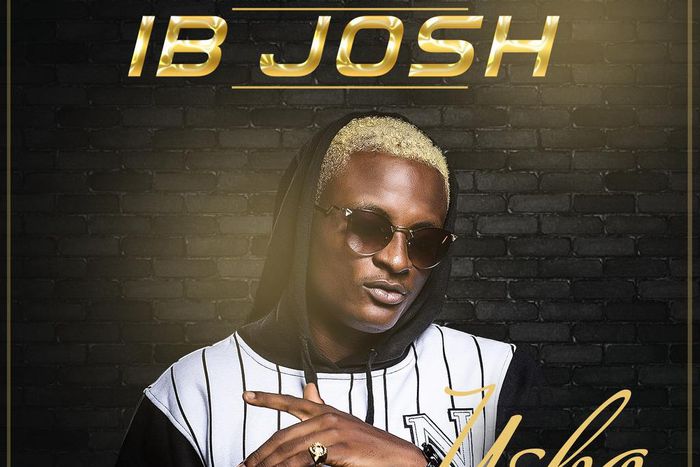 IB JOSH COVER DESIGN