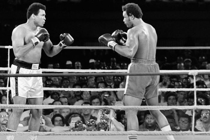 ___5121013___https:______static.pulse.com.gh___webservice___escenic___binary___5121013___2016___6___7___13___georgeforeman-cropped_1jxuzvgz6fyql1d0ksnby4bu18