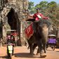 Sambo the elephant giving rides at the Bayon Angkor Wat