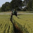 'Unorthodox' agriculture policies to cost country $860M - USDA