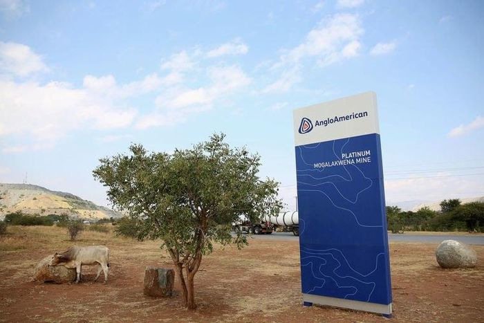 A cow is seen near the AngloAmerican sign board outside the Mogalakwena platinum mine in Mokopane , north-western part of South Africa , Limpopo province May 18, 2016. REUTERS/Siphiwe Sibeko