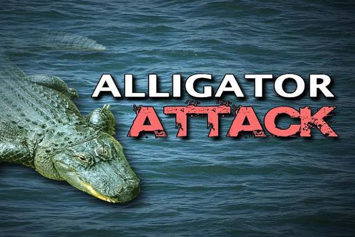 Alligator attacks 2-year old in Florida