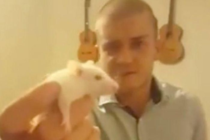 Man arrested for biting the head of a live RAT and posting gruesome video online