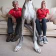 Julie and Brian Wiliams with Major