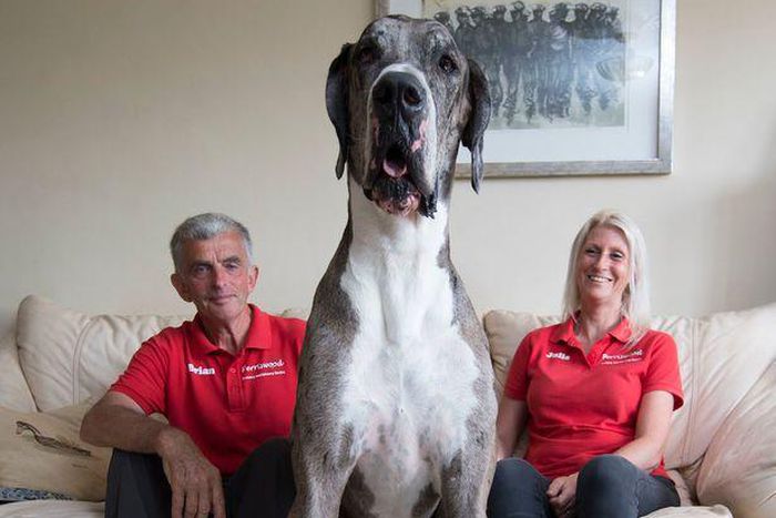 Julie and Brian Wiliams with Major