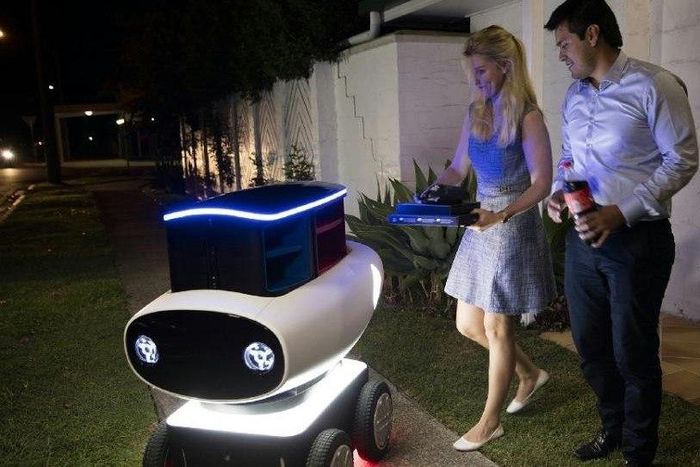 Domino's Pizza Delivery robot