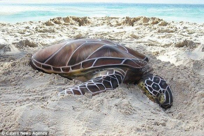 ___5071529___https:______static.pulse.com.gh___webservice___escenic___binary___5071529___2016___5___24___17___Gesine+Marwedel+body+art+1