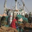 A crew member sits on a fishing net as Sierra Leonean security forces guard the Marampa 803, a vessel apprehended for alleged illegal fishing activities, that has been moored off the West African country's capital Freetown January 21, 2012.