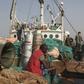 A crew member sits on a fishing net as Sierra Leonean security forces guard the Marampa 803, a vessel apprehended for alleged illegal fishing activities, that has been moored off the West African country's capital Freetown January 21, 2012.
