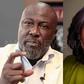 Senators Dino Melaye and Remi Tinubu