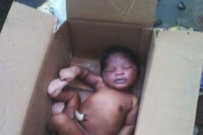 The baby in the carton