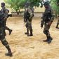 Boko Haram militants kill 15 in southern Niger: sources