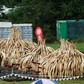 Kenya Wildlife Service (KWS) rangers stand guard near stacks of elephant tusks, part of an estimated 105 tonnes of confiscated ivory from smugglers and poachers to be burnt at the Nairobi National Park near Nairobi, Kenya, April 30, 2016. REUTERS/Thoma...