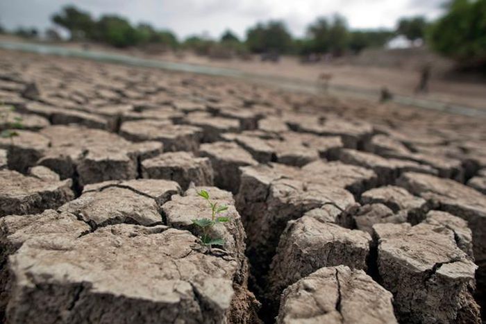 Strongest El Nino in nearly 20 years ends