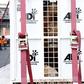 A former circus lion looks from inside his cage while preparing for transportation to a private sanctuary in South Africa, during an airlift organized by Animal Defenders International in Callao, Peru, April 29, 2016.