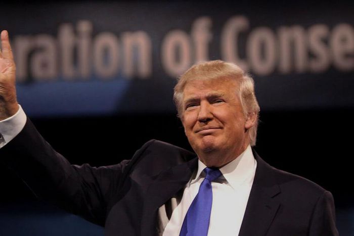 Stephen King, 600 other U.S. authors sign petition against Donald Trump