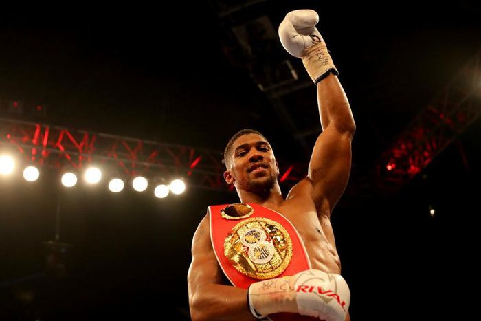 ___5348055___https:______static.pulse.com.gh___webservice___escenic___binary___5348055___2016___8___6___16___anthonyjoshua-cropped_1o84gmex9j0441pfg4tnolp66a_2